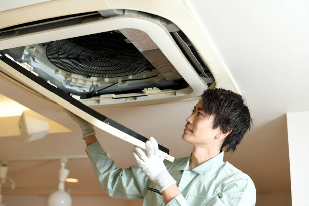 Best Ductwork Cleaning Services  in Murfreesboro, NC